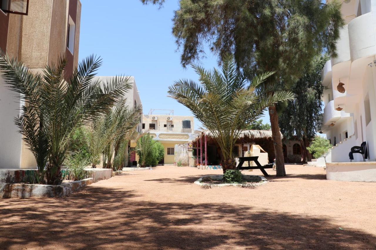 Oasis Fighting Kangaroo Hotel Dahab Exterior photo