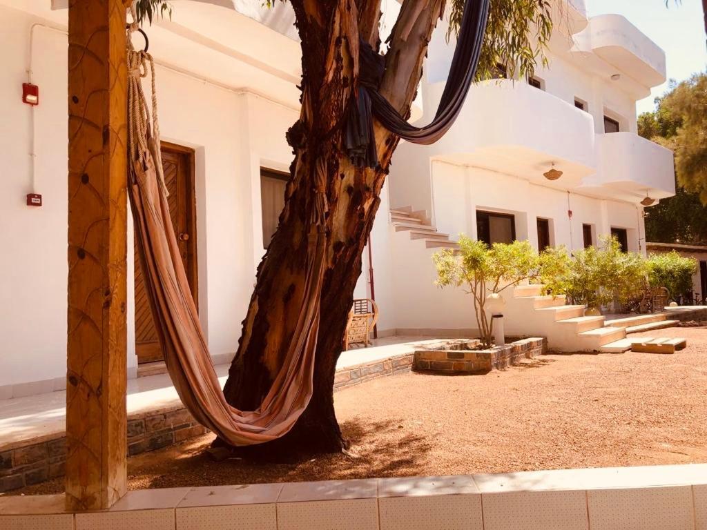 Oasis Fighting Kangaroo Hotel Dahab Exterior photo